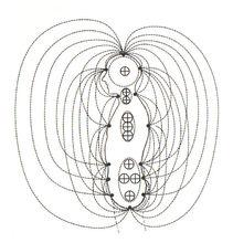 人體磁場側面圖