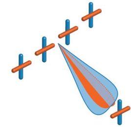 交叉極化 交叉極化