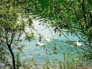 延慶地質公園 延慶地質公園