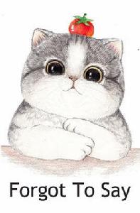 Forgot to say Forgot to say