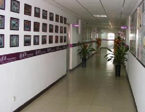 寧河縣董莊鎮教育組 寧河縣董莊鎮教育組