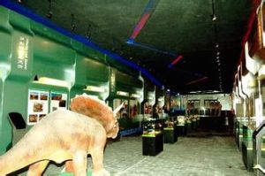 達里諾爾自然博物館 達里諾爾自然博物館