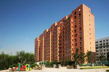 天泰&middot;太陽樹