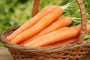 木龍觀紅蘿蔔（木龍觀胡蘿蔔）