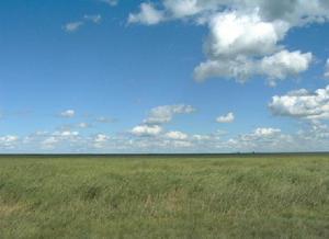 波河平原 波河平原