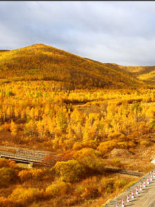 內蒙古高原 內蒙古高原