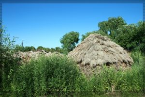三陵鄉[河北省邯鄲市邯鄲縣三陵鄉]