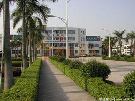 大良實驗中學 大良實驗中學