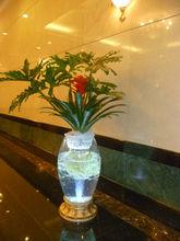 酒店裡的水培花卉