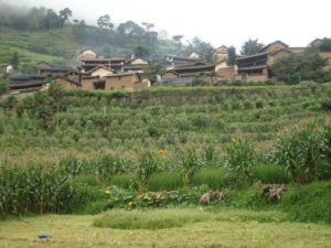 迤能山村 迤能山村