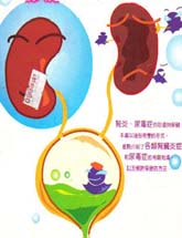 老年人急性感染後腎炎