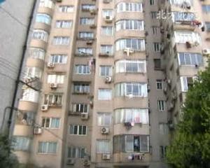 北方花苑 北方花苑