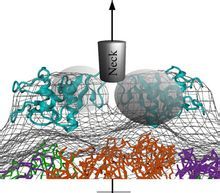 登革熱病毒致病機理圖解