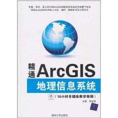 《精通ArcGIS地理信息系統》