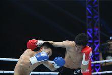 中國拳王 張家瑋