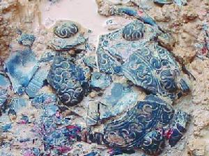 青銅器和陶器外布滿了精美的花紋。