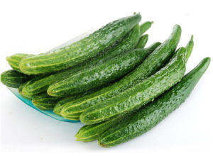 黃瓜