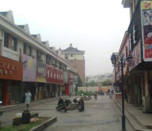 龍湖新村街道 龍湖新村街道