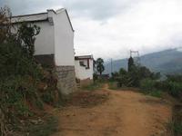 入村道路與民居