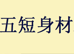 五短身材 五短身材