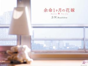 《生命最後一個月的新娘》