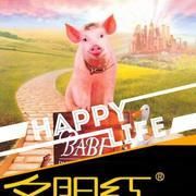 寶貝小豬羅 寶貝小豬羅