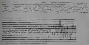 地震脈動 地震脈動