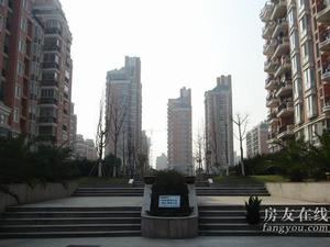 紫羅蘭花園 紫羅蘭花園