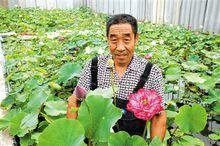 西營鄉[甘肅西營鄉]