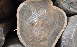 烏絲檀木 烏絲檀木