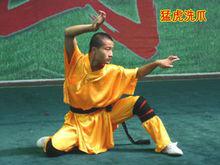 虎拳[中國傳統武術流派之一]