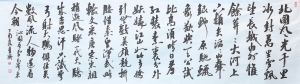 宛廷聚書毛澤東詩詞《沁園春&middot;雪》