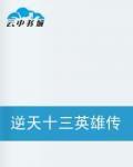 逆天十三英雄傳奇 逆天十三英雄傳奇