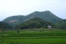 花石鎮[湖南省湘潭縣下轄鎮]