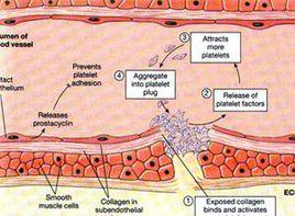 血小板聚集增強 血小板聚集增強
