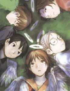 灰羽聯盟 灰羽聯盟