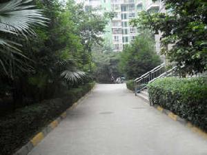 雙楠南華苑 雙楠南華苑