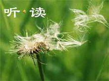 你一定會聽見的