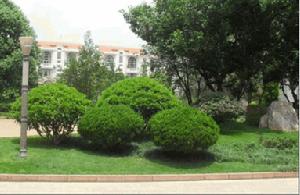 江東四季園 江東四季園