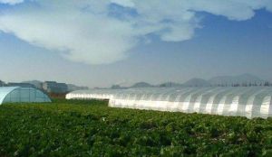 浙江省農業高科技示範園區 浙江省農業高科技示範園區