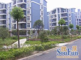 天順園小區 天順園小區