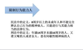 限制行為能力人 限制行為能力人