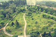 廣東省高新技術學校