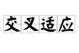 交叉適應 交叉適應