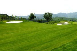 高爾夫場地 高爾夫場地