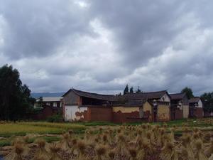 農場自然村 農場自然村