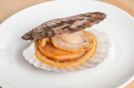 大連蝦夷扇貝 大連蝦夷扇貝