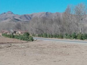 牛古吐鄉 牛古吐鄉