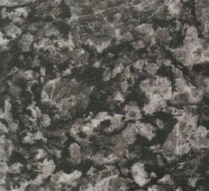 牡蠣珍珠 牡蠣珍珠