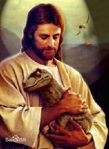 美國猴子案件 美國猴子案件